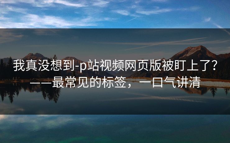 我真没想到-p站视频网页版被盯上了？——最常见的标签，一口气讲清