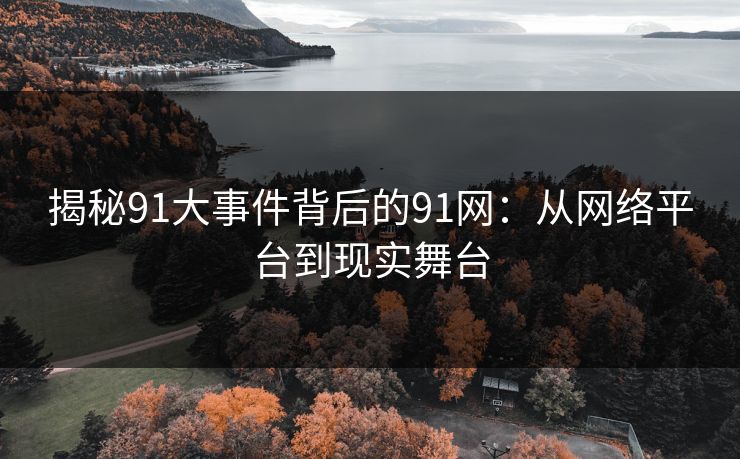 揭秘91大事件背后的91网：从网络平台到现实舞台