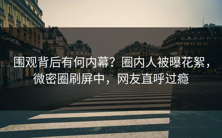 围观背后有何内幕？圈内人被曝花絮，微密圈刷屏中，网友直呼过瘾