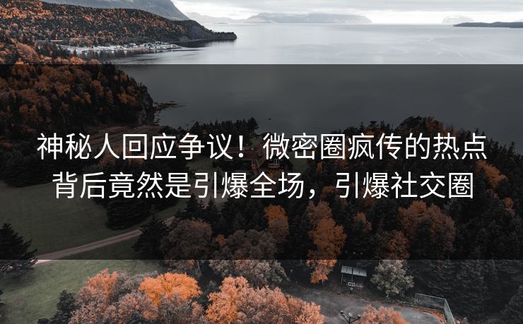 神秘人回应争议！微密圈疯传的热点背后竟然是引爆全场，引爆社交圈