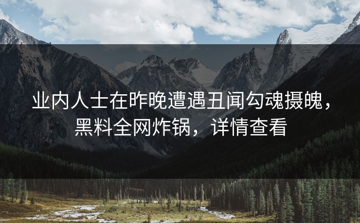 业内人士在昨晚遭遇丑闻勾魂摄魄，黑料全网炸锅，详情查看